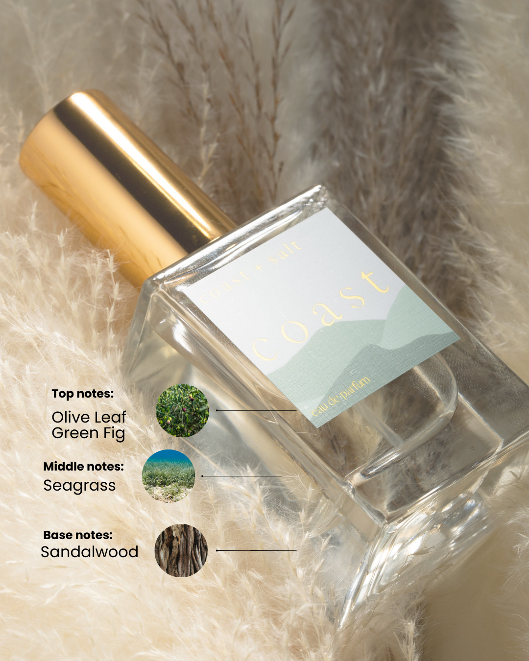 Coast Perfume Roller