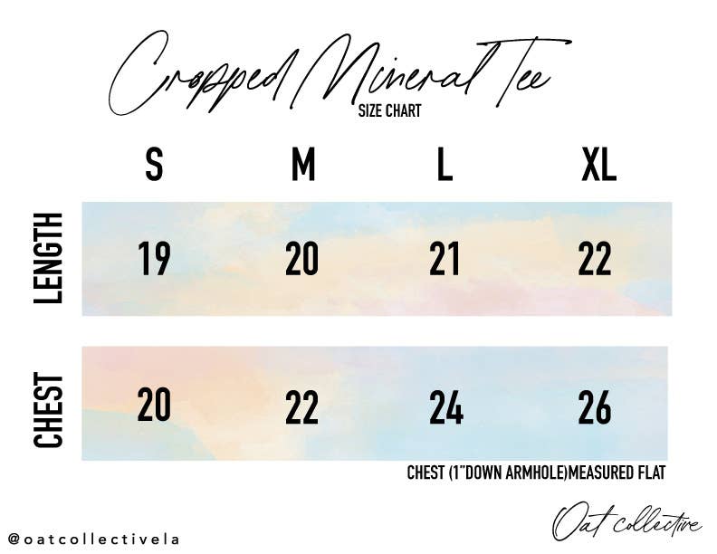 HOLD YOUR HORSES Cropped Mineral Graphic Top
