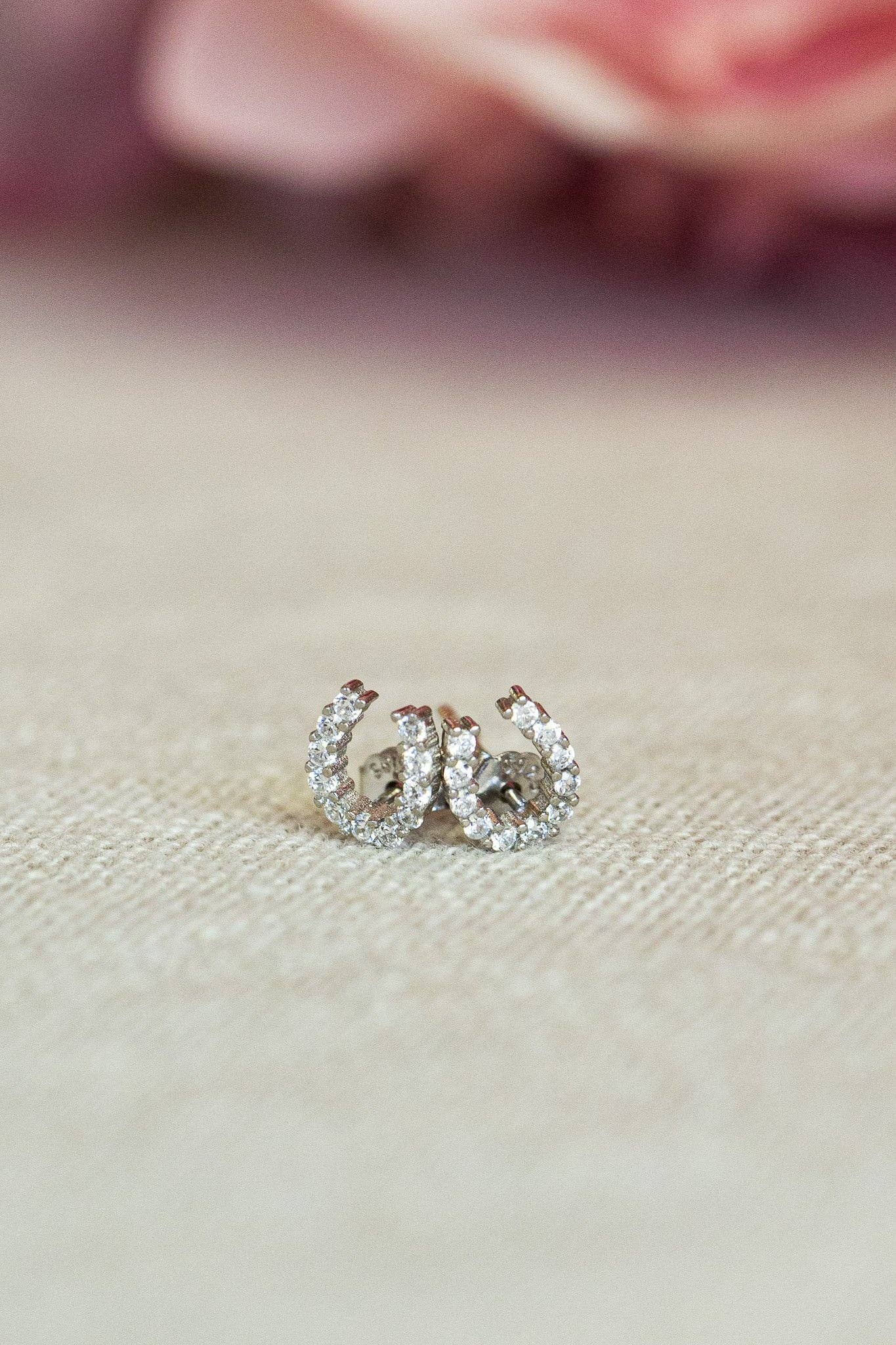 Luxe Horseshoe Earrings