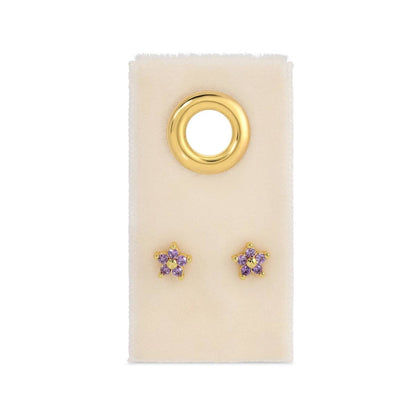 Delicate Flower Studs on Velvet Tag: Pink
