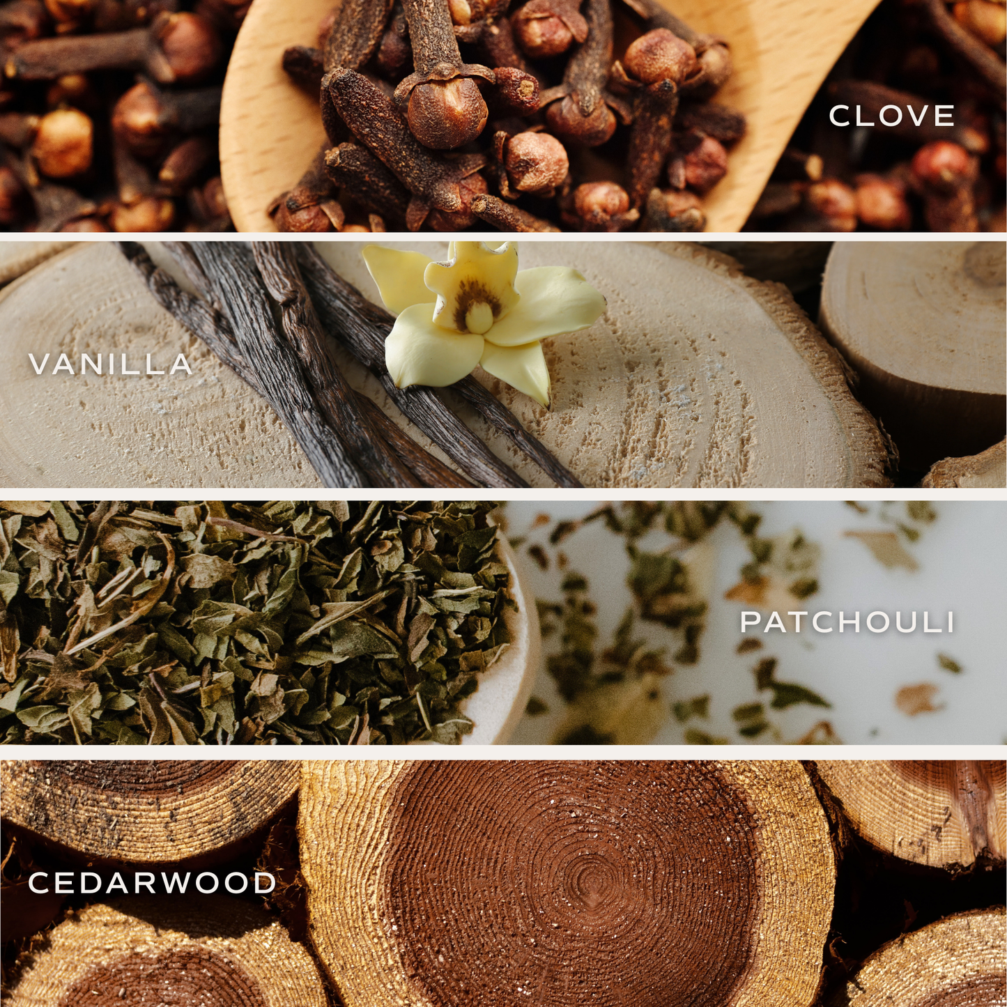 Palo Santo Patchouli Reed Diffuser