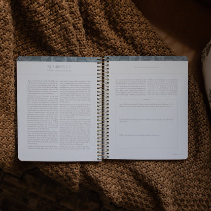 A Year in the Bible | Volume 1 Bible Study