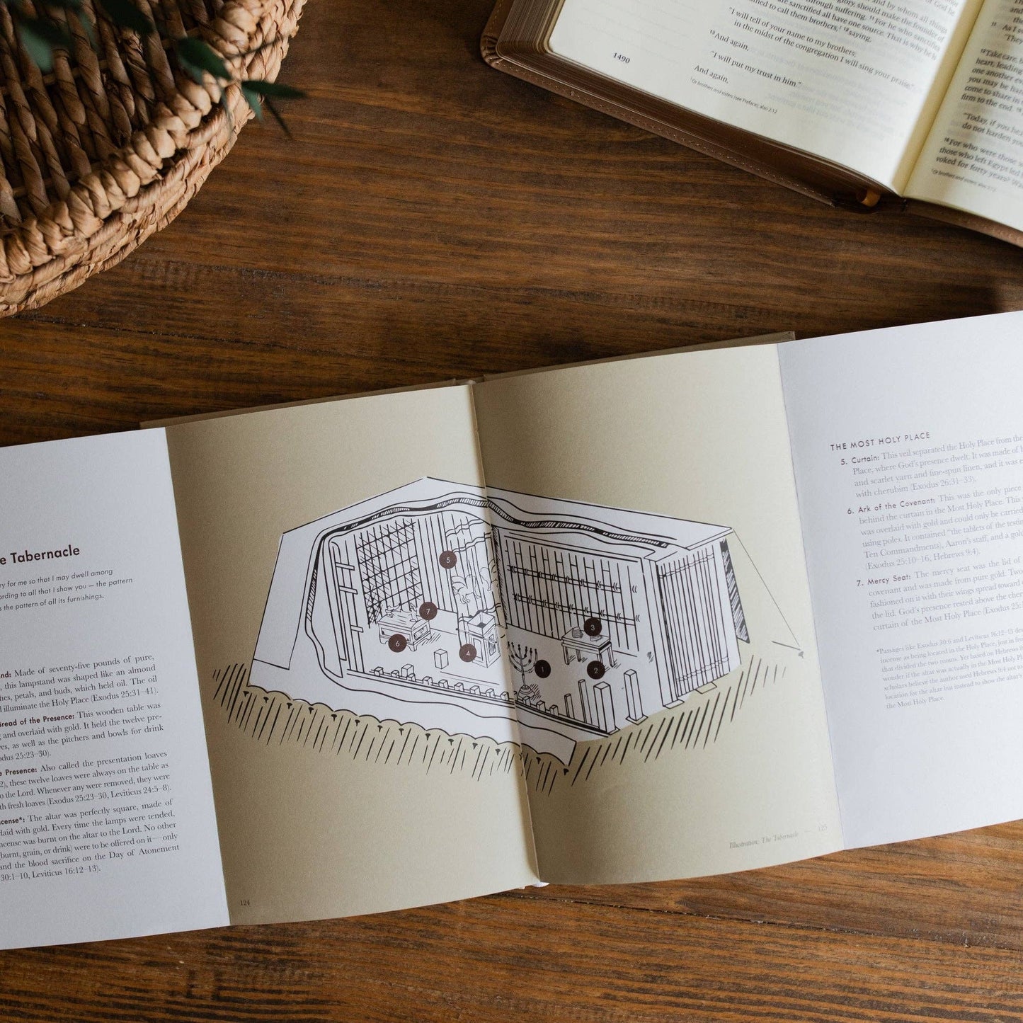 Jesus is Better: Living for the One Who is Worthy | A Study on the Book of Hebrews - Men's