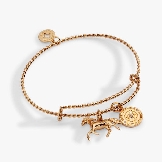 Horse Rope Textured Charm Bangle: Gold
