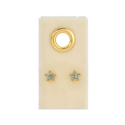 Delicate Flower Studs on Velvet Tag: Clear