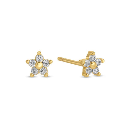 Delicate Flower Studs on Velvet Tag: Clear