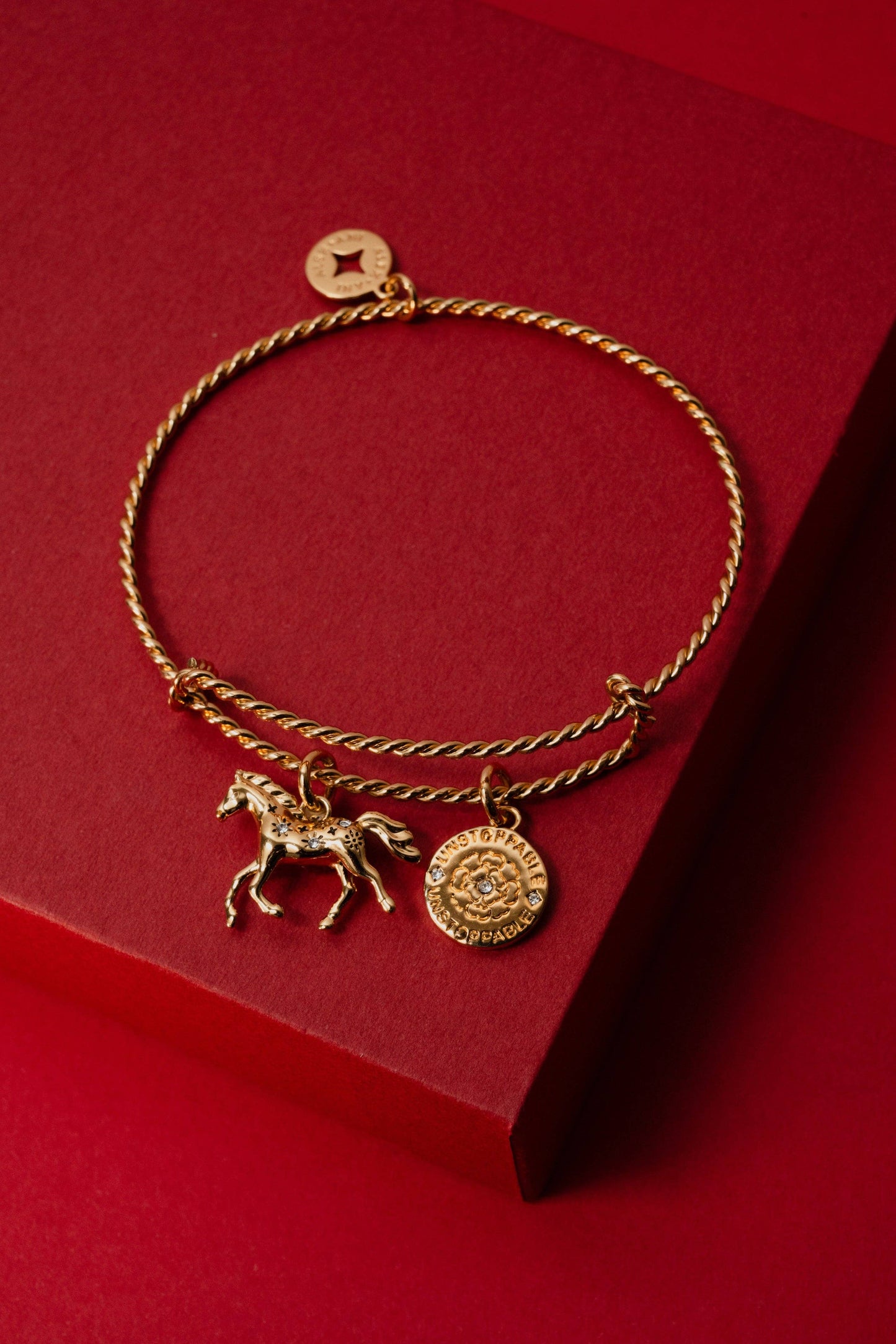 Horse Rope Textured Charm Bangle: Gold