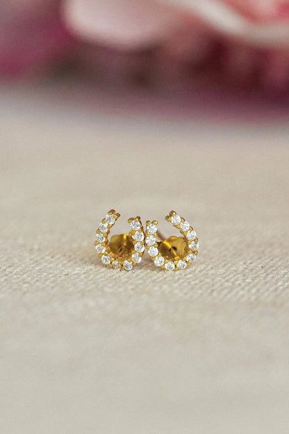 Luxe Horseshoe Earrings
